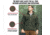 Rothco Trailsman Sherpa Fleece Jacket - Mens, Olive Drab, Small, 96625-OliveDrab-S