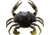 Savage Gear 3D TPE Crab Soft Bait, Pack of 1, 3in, Natural Peeler, 1587136
