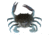 Savage Gear 3D TPE Crab Soft Bait, Pack of 1, 1in, Blue Crab, 1587137