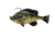 Savage Gear Pulse Tail Bluegill RTF Soft Bait, Pack of 1, 3in, Bluegill, 1586270