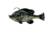 Savage Gear Pulse Tail Bluegill RTF Soft Bait, Pack of 1, 3in, Ghost Gill, 1586272