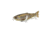 Savage Gear Scandal Glide Hard Bait