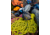 Sea to Summit Spark Pro Down 30F/-1C Sleeping Bag, Regular, Beluga Black, Regular, S2151