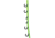 Seattle Sports Ladder Stretchstrap Neon Green 096944
