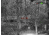Shinenyx G1A/384 1x5.45-16.5mm Thermal Imaging Monocular with Mount, Black, G1A+Mount