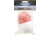 Shoreline Marine Marker Buoy 052113
