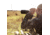 SightMark Latitude 15-45x60 Spotting Scope, Black, SM11033