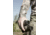 Sightmark Solitude 8x42 XD Binoculars SM12102
