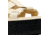 Sorel Dayspring Slingback Sandal - Womens, Honey White/Black, 11, 2069751-292-11
