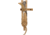 Spec Ops Combat Master Fixed Blade Knife Sheath