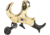 Stanislawski Stan OnneX Thumb Release 1408181, Gold/Black, Medium, 8411