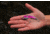 SteelShad 3/8 oz Blade Bait, Purple, SSL-10136