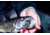 SteelShad 3/8 oz Blade Bait, Sexy Shad, SSL-10032