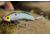 SteelShad 3/8 oz Blade Bait, Tennessee Shad, SSL-10033