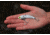 SteelShad 3/8 oz Blade Bait, White Shad, SSL-10062