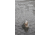 SteelShad XL Bait, 3/4 Oz, White Shad, SSL-10063
