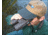 Steiner Logo Hat - Embroidered Steiner Logo, Brown with Black Bill