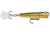 Storm Chug Bug 06 Hard Bait, Bull Frog, CB06204