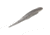Strike King Spotlight Shim-E Minnow Softbait, 6 pack, 5in, Carolina Chrome, 12-36032