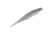 Strike King Spotlight Shim-E Minnow Softbait, 6 pack, 5in, Crystal Flash, 12-36043