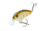 Strike King Strike King Hardliner Crankbaits, Bone Craw, 7/16oz, HCHLNR-351