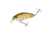 Strike King Strike King Hardliner Crankbaits, Bone Craw, 7/16oz, HCHLNR-351