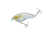 Strike King Strike King Hardliner Crankbaits, Clearwater Minnow, 7/16oz, HCHLNR-684