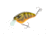 Strike King Strike King Hardliner Crankbaits, Green Gourd, 7/16oz, HCHLNR-621