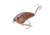 Strike King Strike King Hardliner Crankbaits, Phantom Brown Craw, 7/16oz, HCHLNR-P447