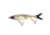 Strike King Hustlin Hog Hard Bait