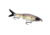 Strike King Hustlin Hog Hard Bait
