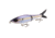 Strike King Hustlin Hog Hard Bait