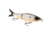 Strike King Hustlin Hog Hard Bait