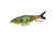 Strike King Hustlin Hog Hard Bait