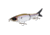 Strike King Hustlin Hog Hard Bait