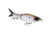 Strike King Hustlin Hog Hard Bait
