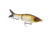 Strike King Hustlin Hog Hard Bait