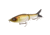 Strike King Hustlin Hog Hard Bait