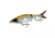 Strike King Hustlin Hog Hard Bait