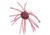 Strike King Tumbleweed Floating Soft Bait