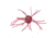 Strike King Tumbleweed Floating Soft Bait