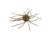 Strike King Tumbleweed Salted Softbait, 4 pack, 3in, Green Pumpkin, 12-36258
