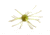 Strike King Tumbleweed Salted Softbait, 4 pack, 3in, Summer Craw, 12-36256