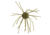 Strike King Tumbleweed Salted Softbait, 4 pack, 3in, Watermelon Red Flake, 12-36262
