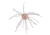 Strike King Tumbleweed Salted Softbait, 4 pack, 3in, White Sauce, 12-36254