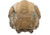 Team Wendy Helmet Cover for EXFIL Ballistics w/ Rail 3.0, Multicam, Medium/Large, 76-MHC3-MC-1