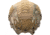 Team Wendy Helmet Cover for EXFIL LTP w/ Rail 3.0, Multicam, One Size, 71-MHC3-MC-1