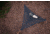 Tentsile Trillium Hammock-Black