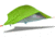 Tentsile Vista Tree Tent 3 Season 3 Person-Fresh Green