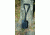Texsport Shovel, Folding Deluxe Boxed 31674TEX